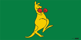 Boxing Kangaroo