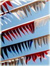 Bunting