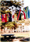 International Flag Bunting