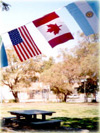 International Flag Bunting