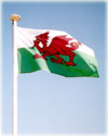 Welsh Flag