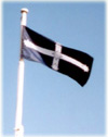 Eureka Flag