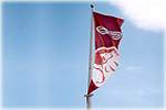 Holden Banner