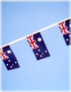 Australian Bunting