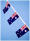 Australian Bunting