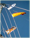 Nautical Flags